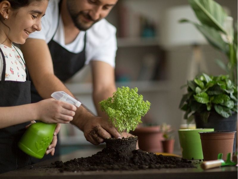 Chăm sóc cây thường xuyên